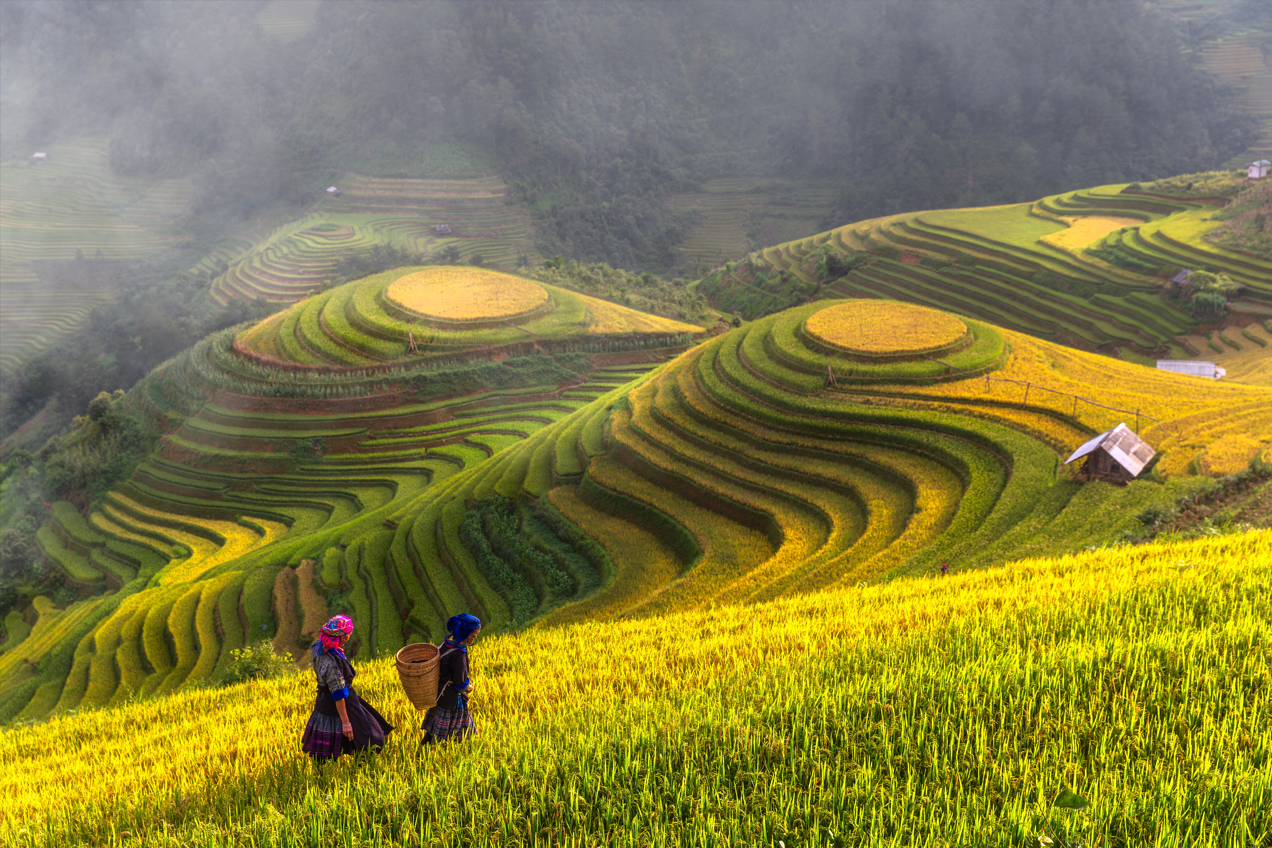 Vietnam in February 2026 | The Most Complete Travel Guide