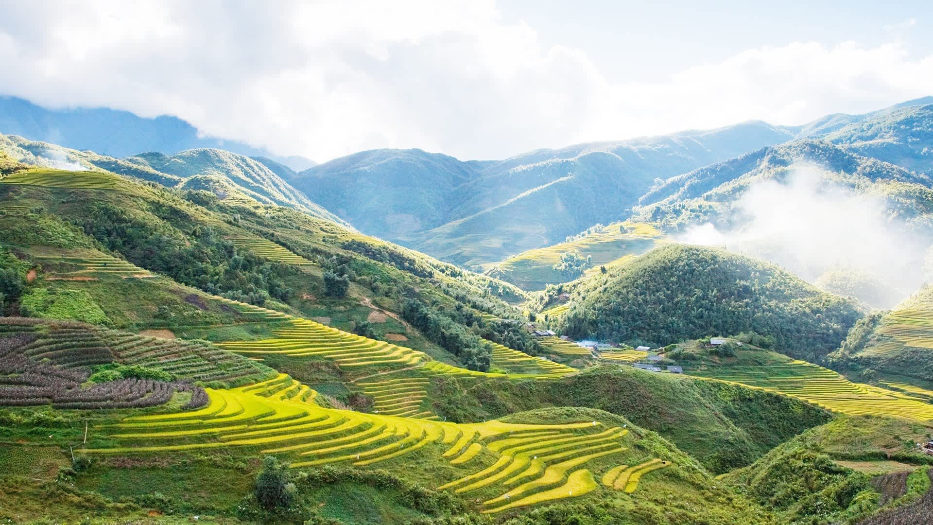 VIETNAM HIGHLIGHTS TOUR PACKAGE 9 DAYS: HANOI, SAPA, HALONG BAY, HOI AN & SAIGON