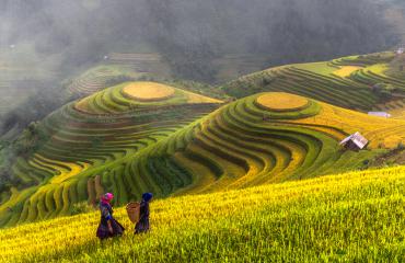 Vietnam in February 2026 | The Most Complete Travel Guide